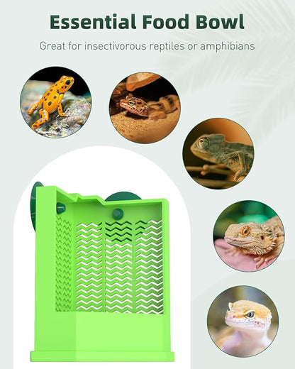 Pawfly Bearded Dragon Feeder - Escape-Proof Corner Reptile Food Box, Wall-Mounted with Suction Cups for Insects - Bug Bowl for Lizards, Geckos, Chameleons & Frogs