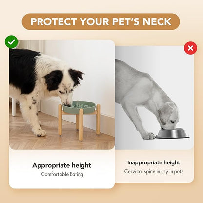 Ceramic 1.6 Cup Dog Raised Slow Feeder Set, Elevated Bowl