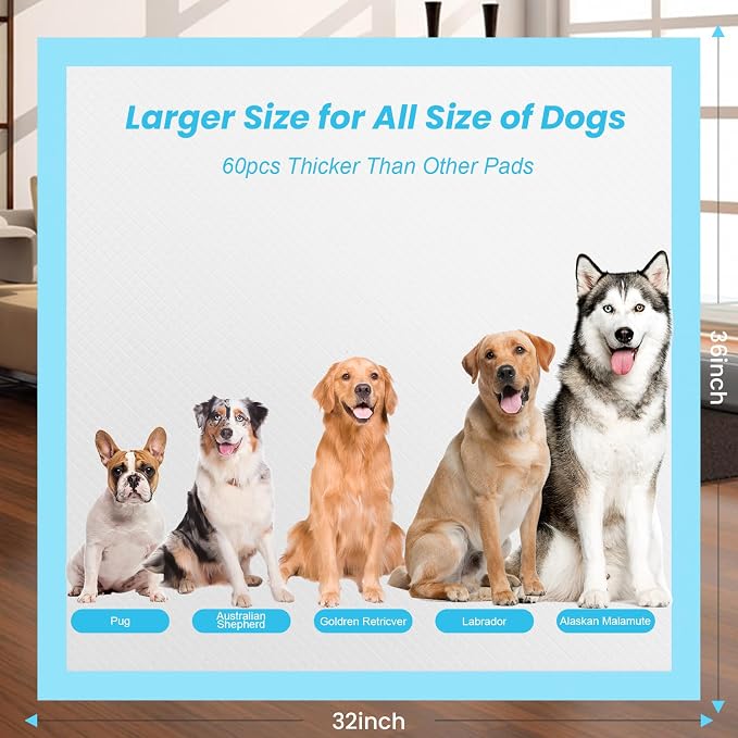 Puppy Pee Pads for Dogs - 32"x36" Extra Large, 60 Count, Leak-Proof & Super Absorbent, Thicken Disposable Potty Pads for Puppy & Cat Training