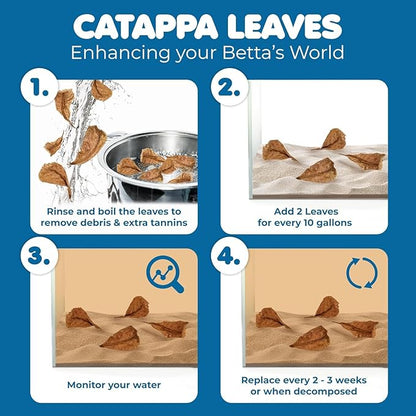 SunGrow 100 pcs Catappa Indian Almond Leaves for Betta Fish Tank Aquarium, 2” Water Conditioner Leaves, Leaf Also Suitable for Shrimp, Goldfish, Guppy and Frogs