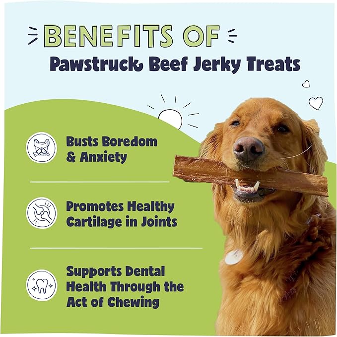 Pawstruck Premium Beef Jerky Dog Treat Chews, Large 10" Strips – Supports Hip & Joint Health, Rich in Glucosamine & Chondroitin, No Added Preservatives – 15 Count