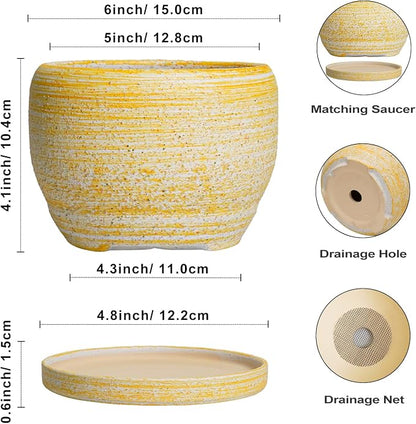 SQOWL Ceramic Planter - 6 Inch Plant Pot Indoor with Drainage Hole and Saucer, Decorative Ceramic Flower Pot Outdoor, Round Succulent Planters, Home Office Bedroom Decor, Birthday Gifts, Yellow