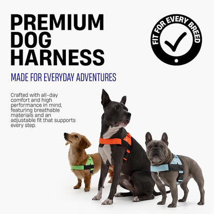 Dog Friendly Co. Dog Harness for Medium Sized Dogs (Burgundy, Medium) | One Click Buckle, Chafe Resistant Webbing, Adjustable Neck & Chest, and Heavy Duty D-Ring, Sturdy Comfortable and Easy to Use