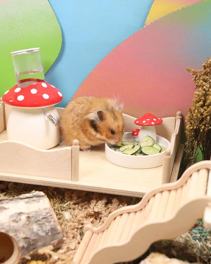Niteangel Hamster Snack & Treats Toy - Small Animal Natural Treat for Dwarf Syrian Robo Hamsters Gerbils Mice Lemmings Degus or Other Small-Sized Pets