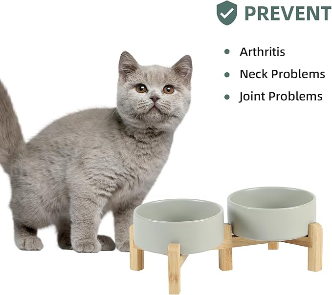 Ceramic Raised Double Bowls Set
