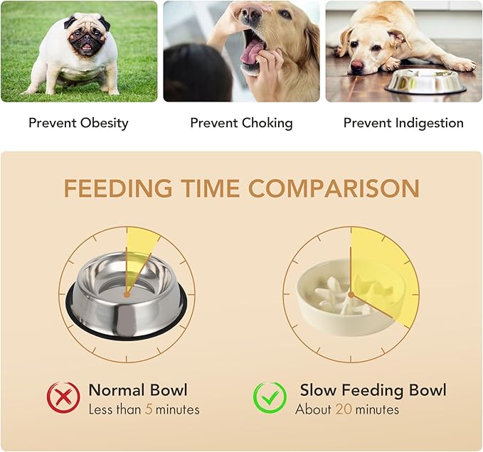 Ceramic 1.2 Cup Dog Raised Slow Feeder Set, Elevated Bowl