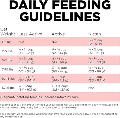 Go! Solutions Carnivore, Grain-Free, Protein Rich Dry Cat Food, Salmon and Cod Recipe, 8 lb Bag