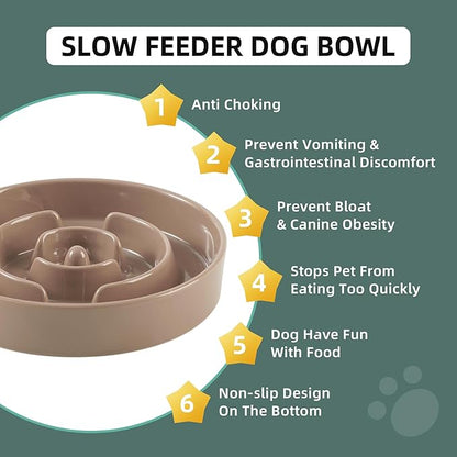 Ceramic 3.2 Cup Slow Feeder Dog Bowl