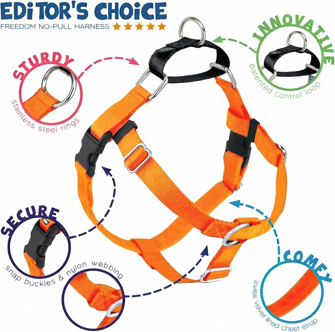 2 Hounds Design Freedom No Pull Dog Harness, Adjustable Harness and Leash Set, Easy Walking & Comfortable Control, Fits Small, Medium & Large Dogs, Solid Colors, Made in USA, 1" XL, Neon Orange