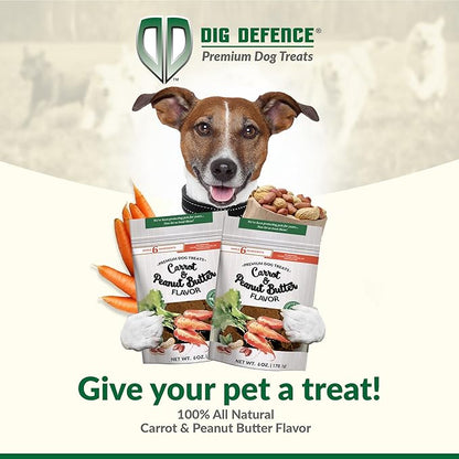 Dig Defence Premium Dog Treats - Carrot and Peanut Butter, Natural Ingredients, Baked Gourmet Snacks for Small & Big Dogs, Healthy Training Treat, 2 Pack