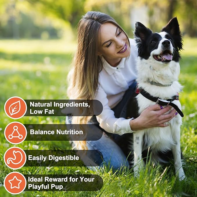 MON2SUN Chicken Jerky Dog Treats Made with Chicken Breast, High Protein & Grain Free, Training Treats for Small to Large Dogs (14.11 Ounce -Pack of 1)