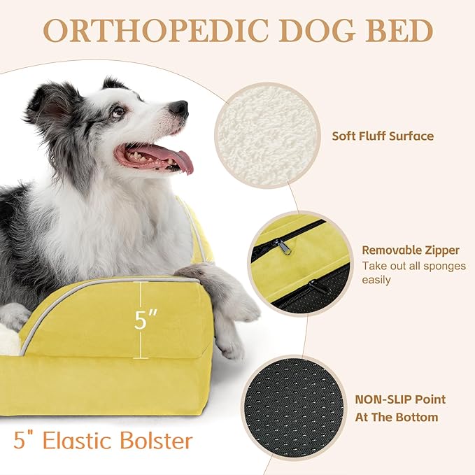 Comfort Expression Orthopedic Dog Bed