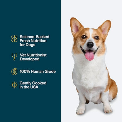 JustFoodForDogs JustFresh Wet Dog Food, Fresh Pet Meals and Toppers with No Preservatives, Resealable Package, Human Grade, Home-Cooked Beef and Chicken Variety, 12 oz - 8 Pack