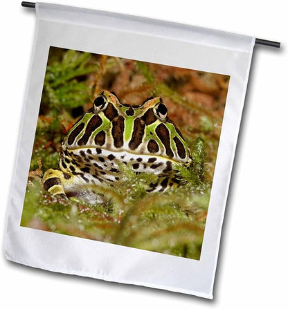 3dRose Pacman frog, South American Horned frog - NA02 AJE0361 - Adam Jones 12 x 18 inch Garden Flag