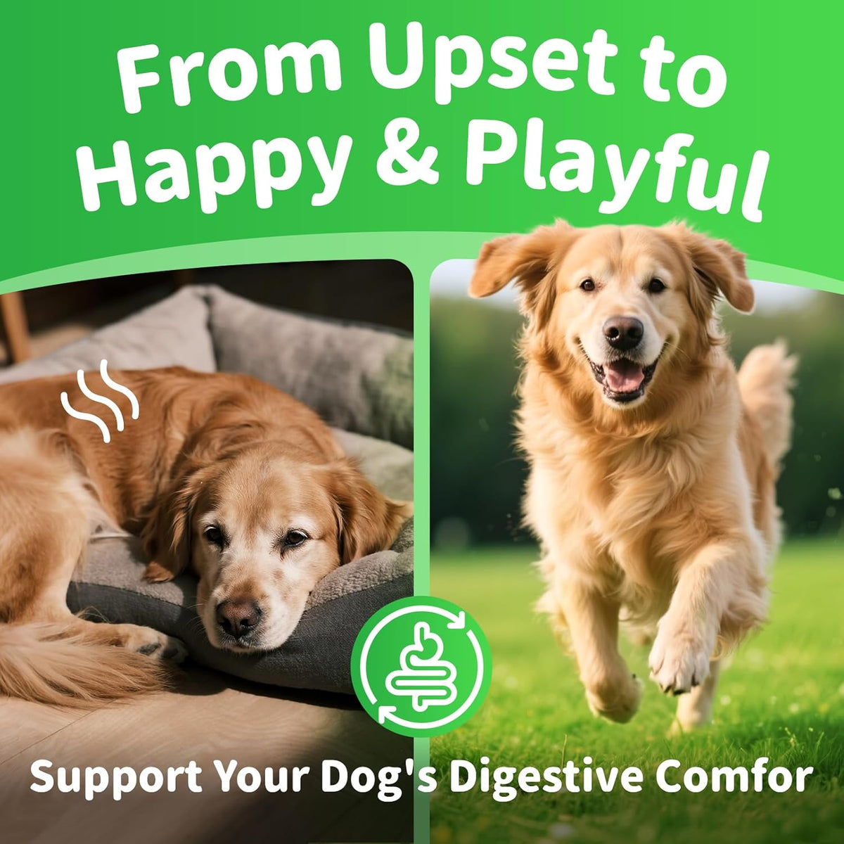 Premium Dog Digestive Enzymes and Probiotics with Pumpkin for Gut Health Support - Daily Chews for Digestion & Gas Relief - Chicken Flavor-90 Count