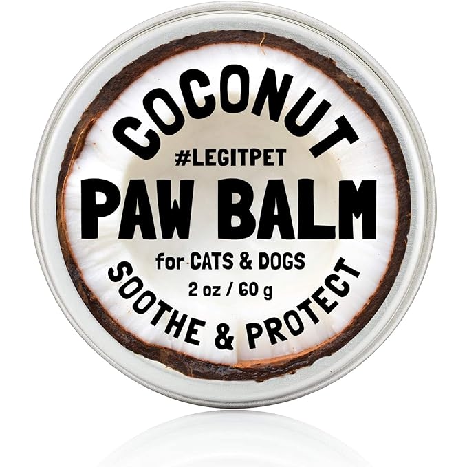 Coconut Paw Balm for Dogs by legitpet