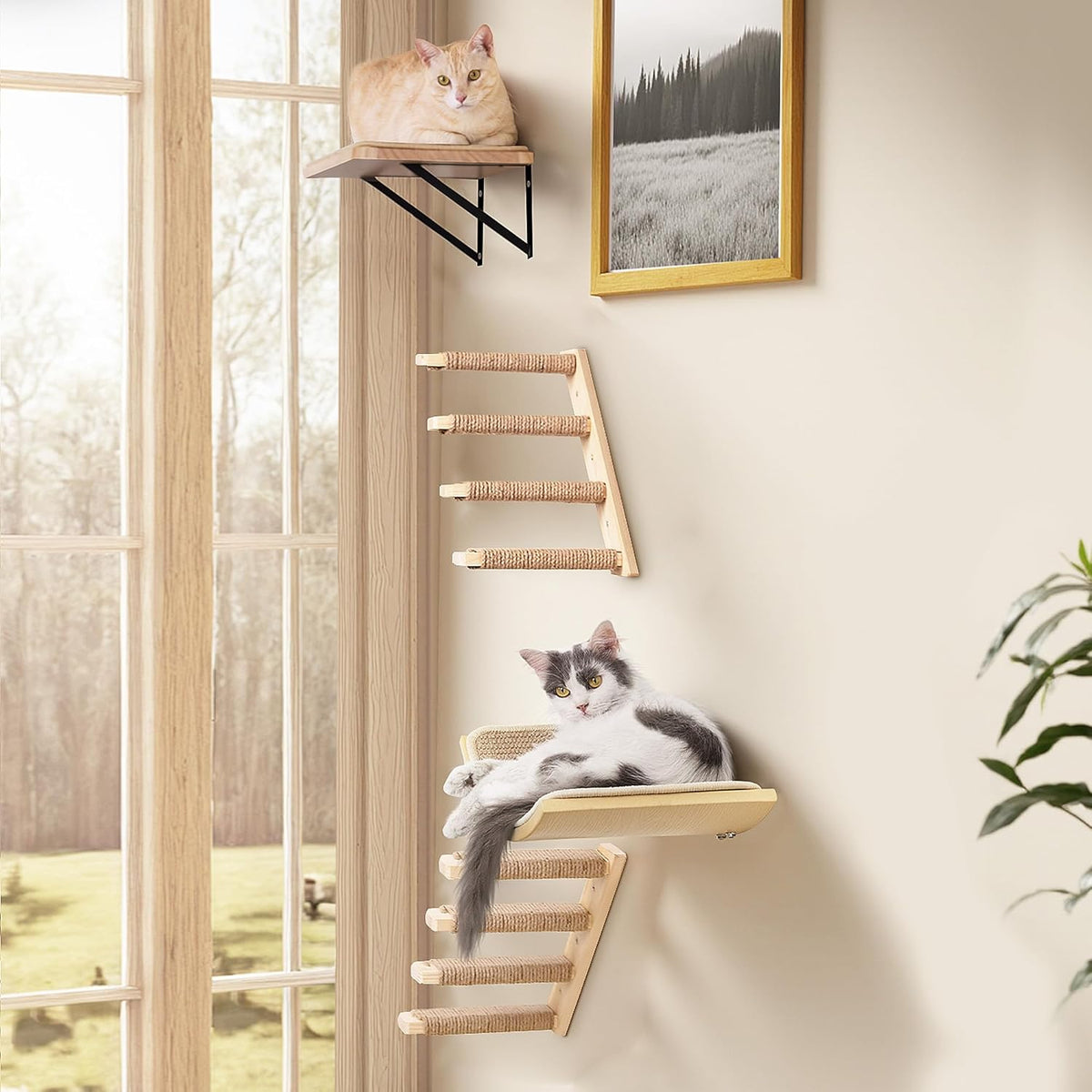 Wall Mounted Cat Shelves Stairs Set, 4 Piece Wood Cats Wall Furniture with Sisal Cat Window Perch, Flat Perch & Dual 4-Step Ladders for Climbing & Scratching