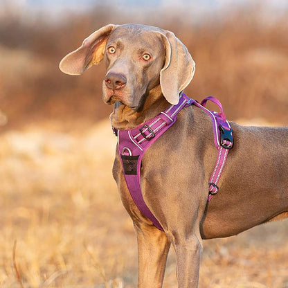 TRUE LOVE Dog Harness No Pull Nylon Reflective Pet Harness Adjustable Comfortable Control Step-in Brilliant Colors Truelove TLH56512 XS