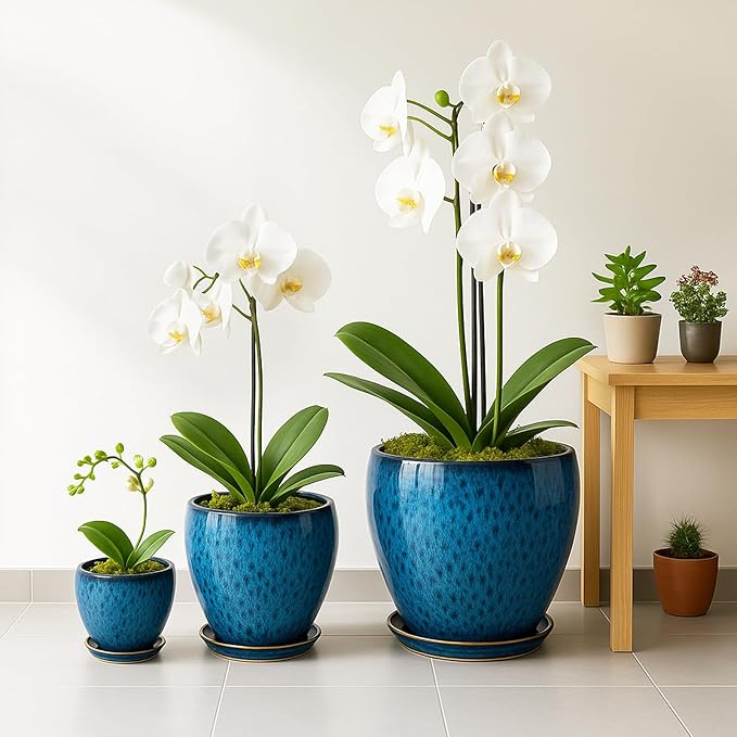 Deep Dream 8 Inch Plant Pots- Ceramic Pots for Plants with Drainage Hole and Saucer, Large Planter Pot for Indoor Plants Outdoor Decor, Blue