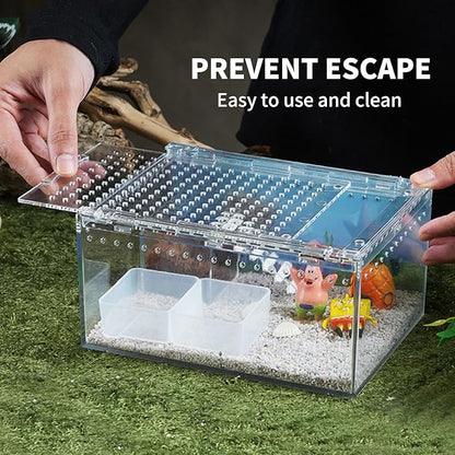 Reptile PC Terrarium 12" x 8" x 6", Tarantula Enclosure,Spider Tank Starter Kit, Hermit Crab Habitat,Lizard Enclosure,Insect Housing,Jumping Spider Cage