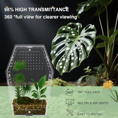Yalikop Acrylic Jumping Spider Habitat Versatile Reptile Enclosure Transparent Insect Terrarium Habitat for Spiders, Tarantula, Gecko, Chameleon, Beetle, Mantis, and Hermit Crab(Clear,L)