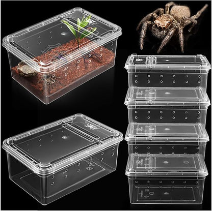 Small Jumping Spider Enclosure - 6 Pack Spider Terrariums, Breeding Box, Transparent Hatching Container, Plastic Feeding Box - 6 Pcs Super Mini