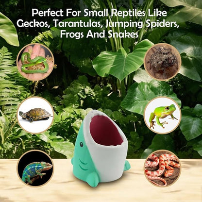 2 Pack Small Reptile Food Dish Plastic Water Bowl for Spider Tarantula Lizard Gecko Frog Snake