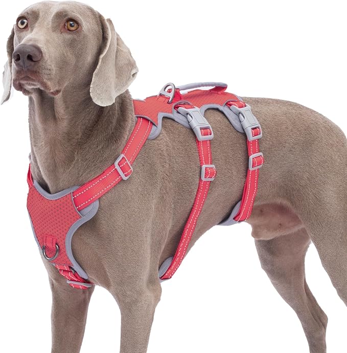 Escape Proof Dog Harness, No Pull Reflective Harness with Lift Handle, Adjustable Pet Vest with Front and Back Leash Clips for Small Medium Large Dogs Walking Hiking Training (Red,XL)