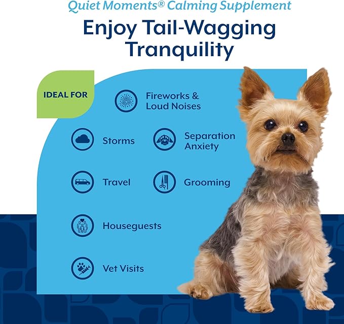 NaturVet Quiet Moments Calming Dog Supplement, Dog Soft Chews with Melatonin to Help Reduce Stress from Storms, The Vet, Fireworks, and Travel, Bacon and Chicken Flavored Pet Supplement, 70 Count Jar