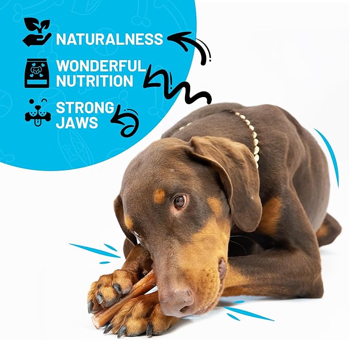Sitka Farms Bully Sticks XL 12 inch - 12 Count - Long Lasting Dental Dog Treats for All Dogs and Puppies - Single Ingredient Bully Sticks for All Chewers - No Bones or Hide