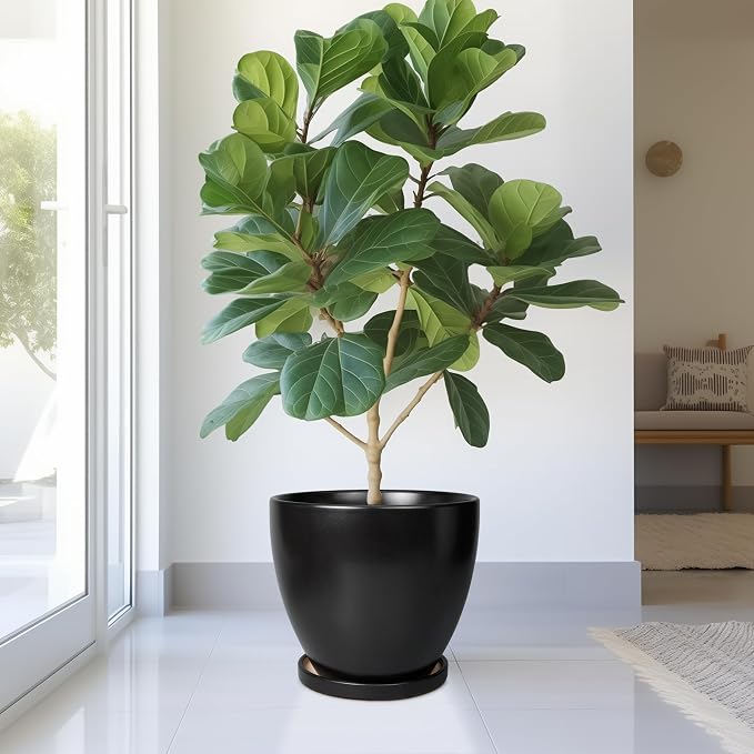 Ceramic Planter - 10 Inch Plant Pot with Drainage Hole and Tray, Round Flower Pots, Planters for Indoor Plants, Modern Room Garden Patio Bathroom Living Room Porch Home Decor, Black