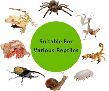 PC Small Reptile Terrarium, Tarantula Enclosure, 12.6" x 8.7" x 3.9" Clear Mini Habitat for Geckos, Hermit Crabs, Praying Mantis, Insects, Isopods, Critter Keeper