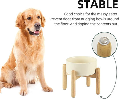 Ceramic 7.3inch Raised Dog Bowl Set, Elevated