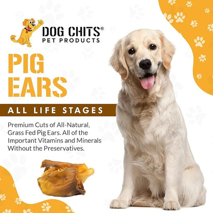 Dog Chits Pig Ears for Dogs – 100% Natural Baked Pig Ear Dog Treats & Training Chews – High Protein, Lower Fat, Grain-Free – Great for Puppies, Dental Support – Medium Size, 15 Pack – Made in USA