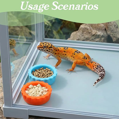 9 PCS Crested Gecko Food and Water Bowl Reusable Small Reptile Feeding Dish Gecko Tank Accessories for Hermit Crab Tarantula Isopods Lizard Easy Clean Silicone 7 Colors Includes Spoon