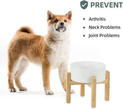 Ceramic Raised Dog Bowl Set, Elevated