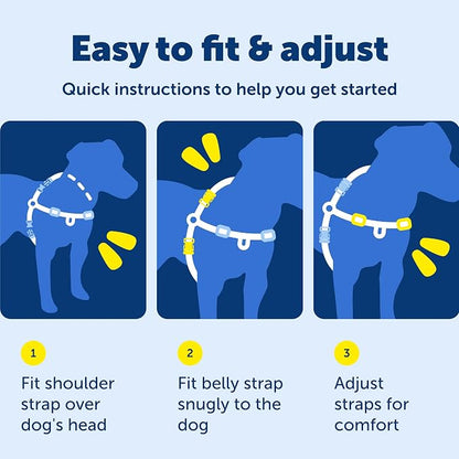 PetSafe Easy Walk Harness, No Pull Dog Harness, Apple Green, Medium | Patented Martingale Loop Gives Gradual Shoulder Pressure to Stop Pulling, Front-Chest Leash Clip Prevents Gagging