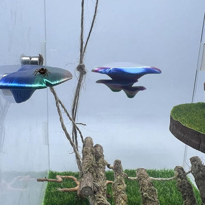 Jumping Spider Mushroom Shelf, Magnetically Concealed Jumping Spider Habitat,Serves As Enclosure Decorate Accessories for Spider Climbing Feeding and Platforms (Gradient)