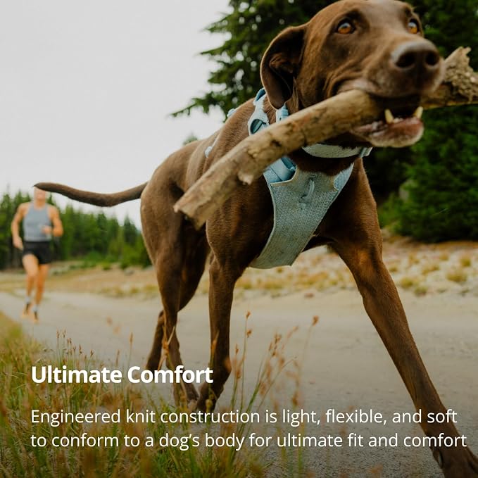 Ruffwear, Front Range Flex Dog Harness, Engineered Knit Construction for Ultimate Fit and Mobility, Lightweight Flexible Everyday Harness with Dual Leash Clips, Polar Blue, XX-Small