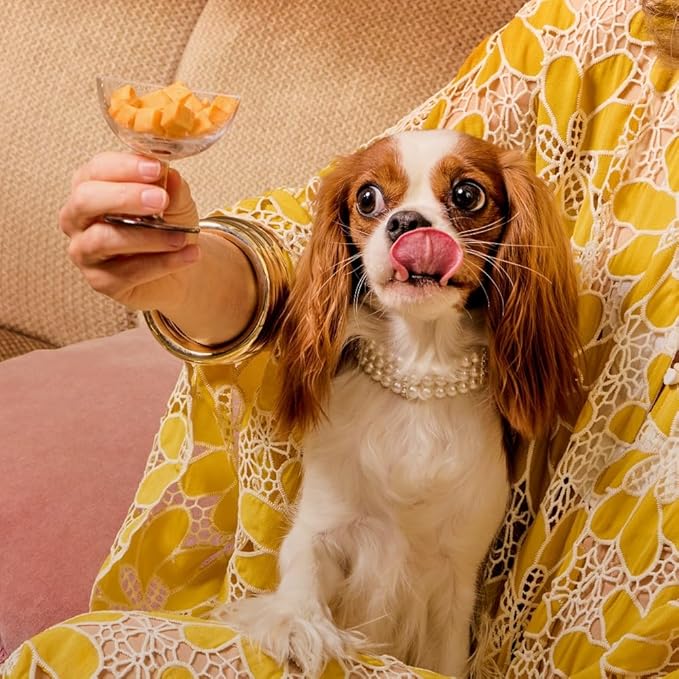 WagWell Freeze Dried Cheese Dog Treats - Grain-Free, High-Protein Pasteurized Dog Treats Made in The USA - Human-Grade, Minimally Processed & Preservatives Free