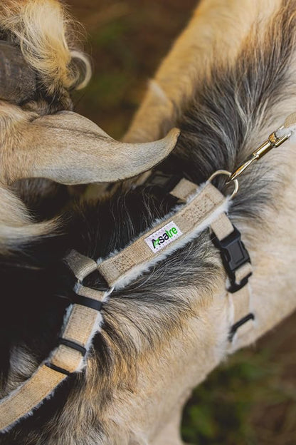 Asatre Adjustable Lined Hemp Goat Harness, Sheep, Livestock Halter, Durable Multi-Clasp Harness, Eco-Friendly Livestock Gear, Comfortable Farm Pet Accessory (Medium)