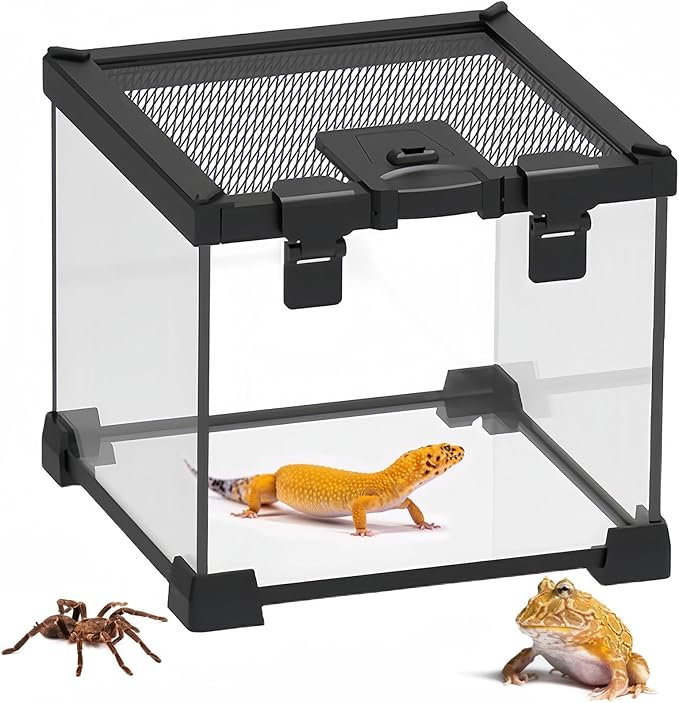 BNOSDM Reptile Tank,8" x 8" x 6" Mini Reptiles Terrarium,Full View Young Lizard Glass Tank,Small Amphibians Habitat Enclosure Cage for Tarantula,Frog,Hermit Crab,Isopods,Insects Breeding Box