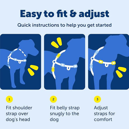 PetSafe Easy Walk Harness, No Pull Dog Harness, Raspberry, Small/Medium | Patented Martingale Loop Gives Gradual Shoulder Pressure to Stop Pulling, Front-Chest Leash Clip Prevents Gagging