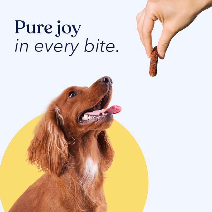 Honest Paws Dog Jerky Treats - All-Natural Jerky Dog Treats for Training Pets - Human Grade Sticks - Real USA Beef