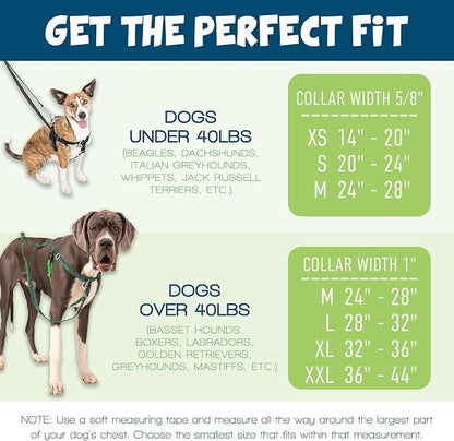 2 Hounds Design Freedom No Pull Dog Harness, Adjustable Harness and Leash Set, Easy Walking & Comfortable Control, Fits Small, Medium & Large Dogs, Solid Colors, Made in USA, 1" LG, Teal