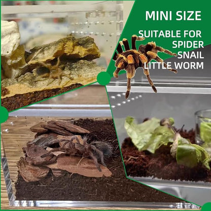 Small Acrylic Reptile Enclosure, No Assembly Small Reptile Breeding Box for Insect Tarantula Hermit Crab Jumping Spider (4x3.3X2.5 in)