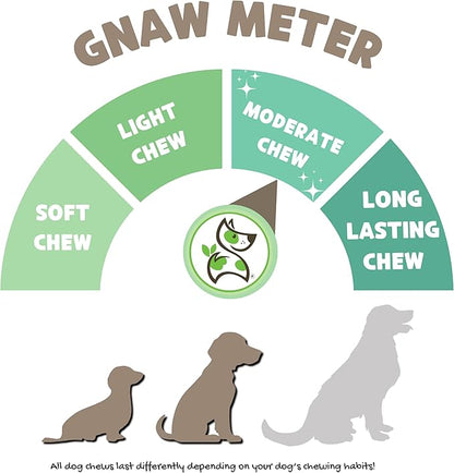 Nature Gnaws Braided Bully Twists for Dogs 5-6" (10 Count) - Long Lasting for Small and Medium Dogs - Natural Beef Dog Chew Bones