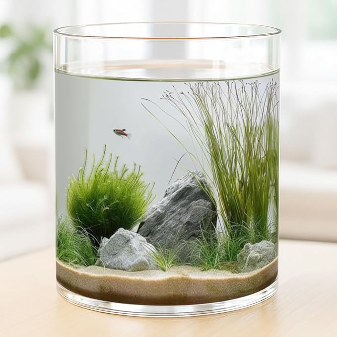 Maxdot 2.5 Gallon Cylindrical Glass Fish Tank Solid Base, 360° Full View Desktop Aquarium Starter, Easy to Maintain Small Microfauna for Betta Snails Shrimp Aquatic Planting and Small Plant Terrarium
