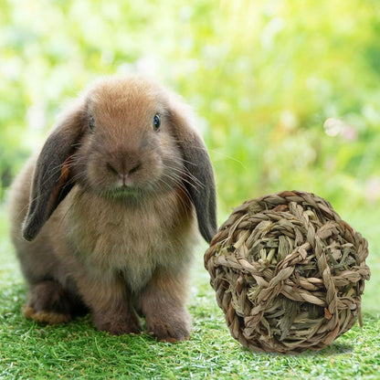 Rabbit Timothy Grass Ball 6 Pcs,Natural Bunny Grass Ball Timothy Hand Woven Chew Toys Small Animals Teeth Grinding Suitable for Hamster Guinea Pig Squirrel Totoro Gerbils