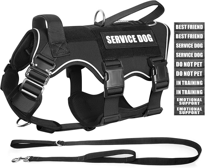 Tactical Service Dog Vest and Leash Set,Heavy Duty Harness with Metal Buckles for Large Dogs,Adjustable No Pull Pet Vest with 10 Patches,for Training Working Hiking,Black XL